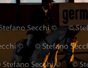 Berlin dei Folletti TosTour2013- S5 3186 : Arezzo, Arezzo Equestrian Centre, Berlin dei Folletti, Cavalli d'Italia, Toscana Tour 2013, foto di Stefano Secchi ©